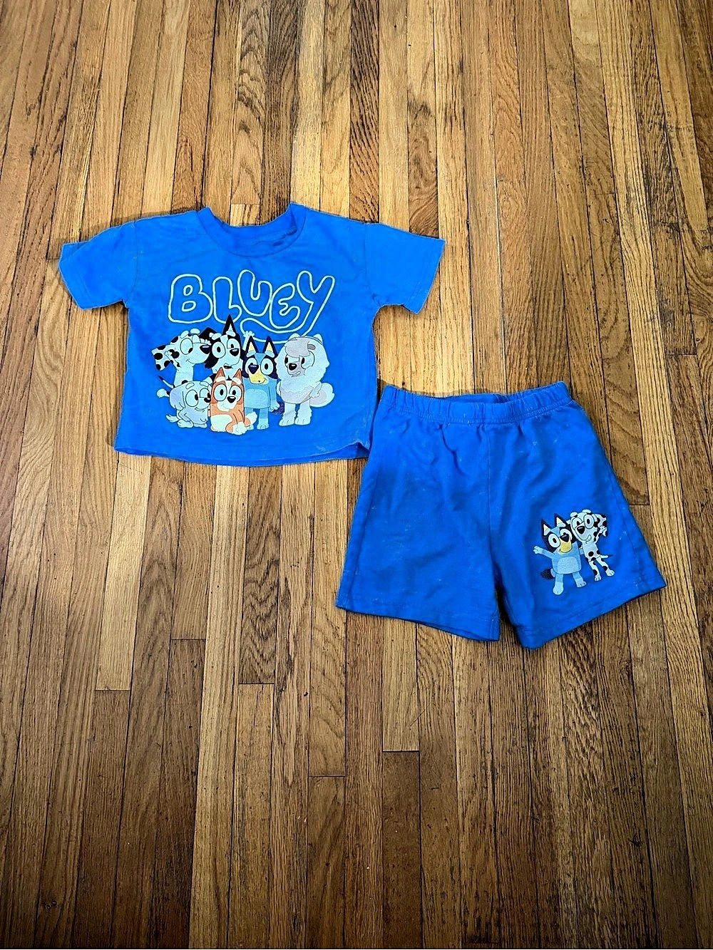 Bluey Best Buddies Boys 2T Blue Matching Set